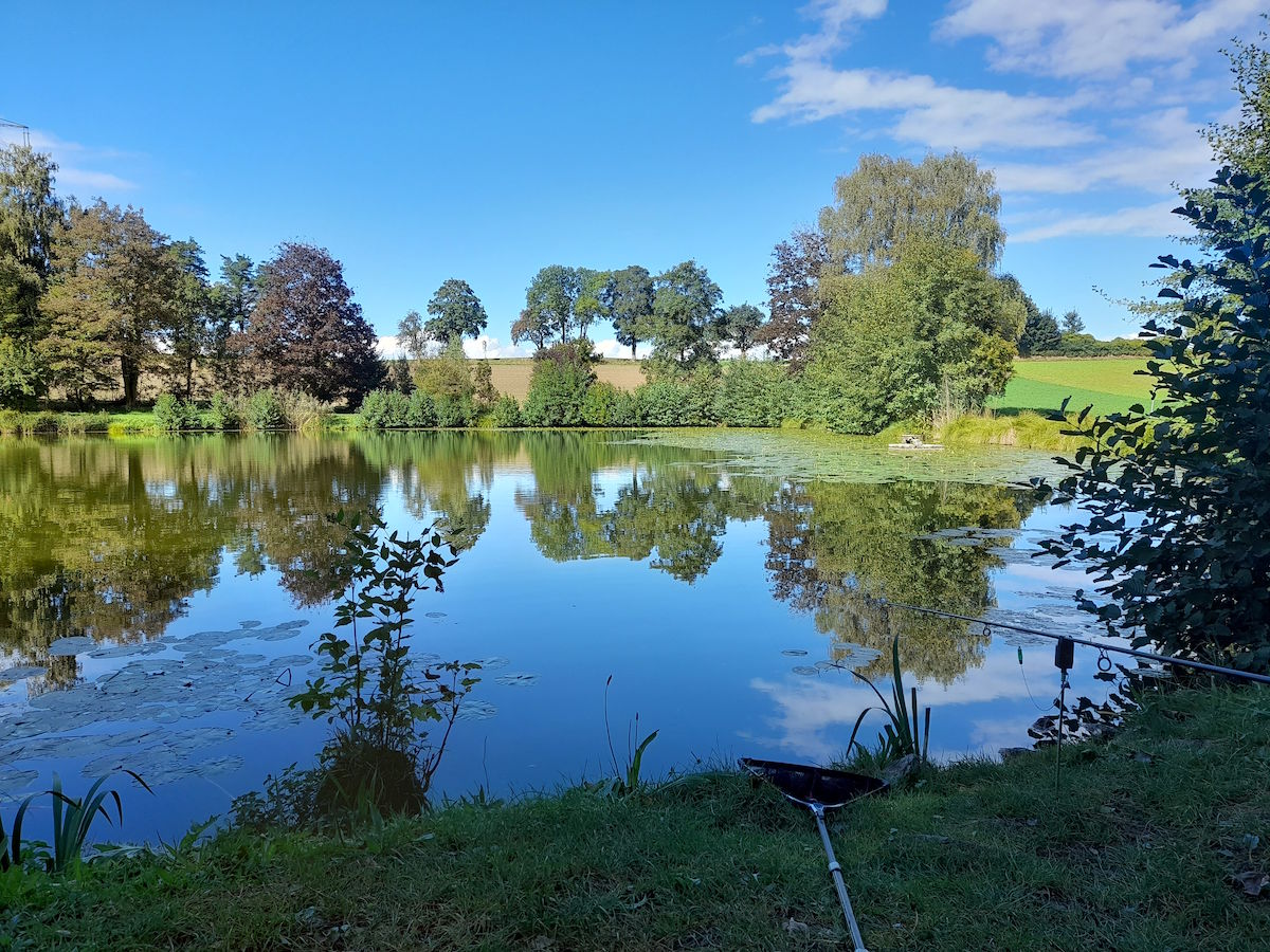 Erlensee